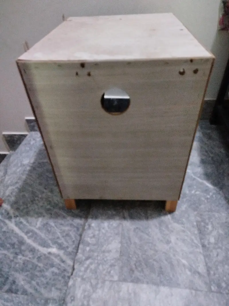 Cat House — photo 3