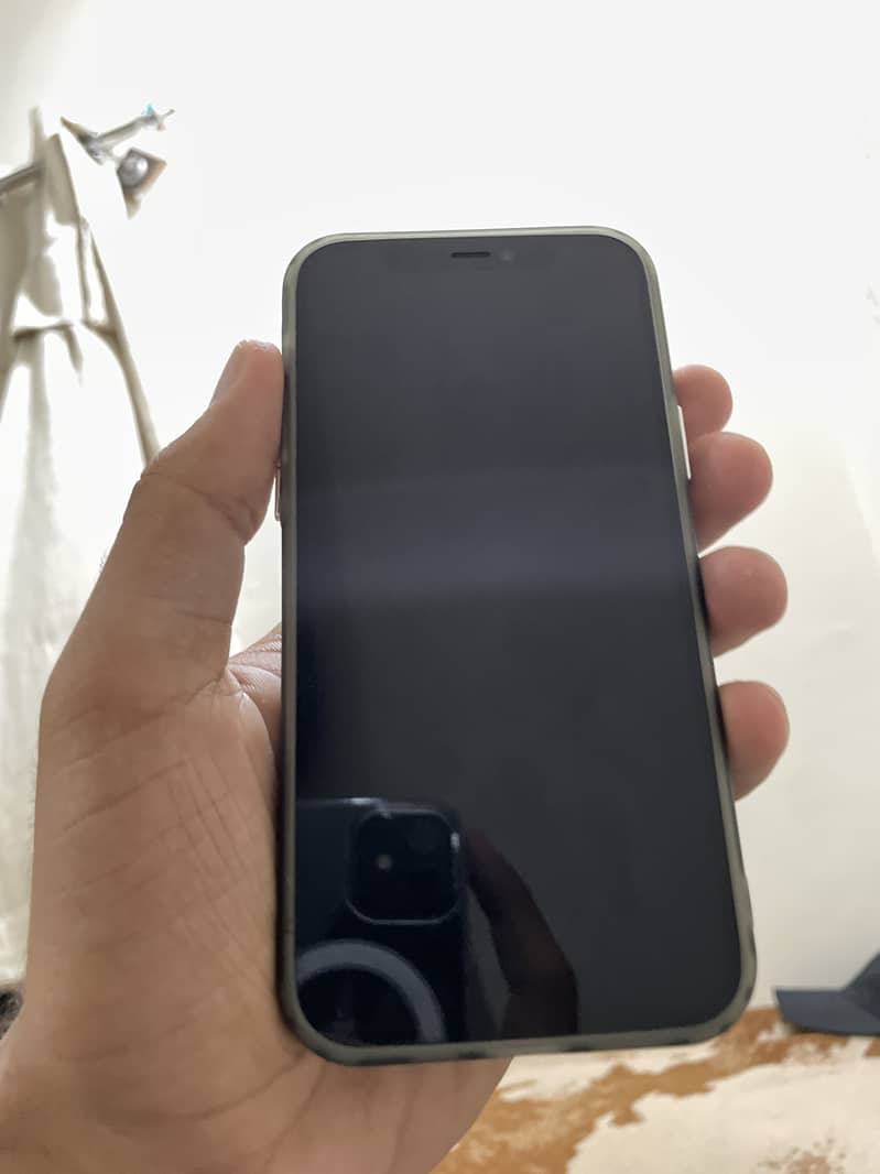 IPHONE12 0