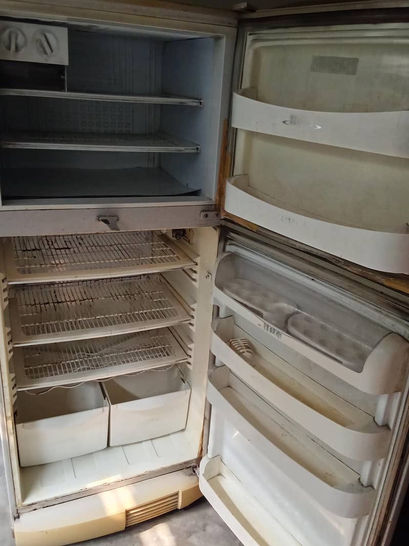 Pell Fridge 1