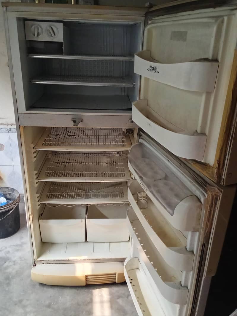 Pell Fridge 3