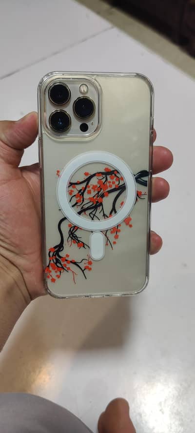 Apple iPhone 13 Pro Max