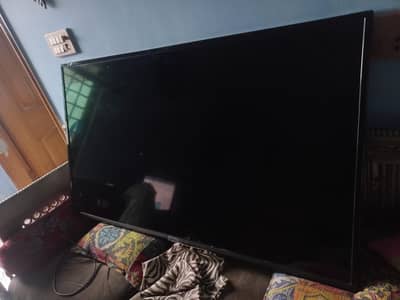 TCL Android Smart TV FHD 1080p 49-inch