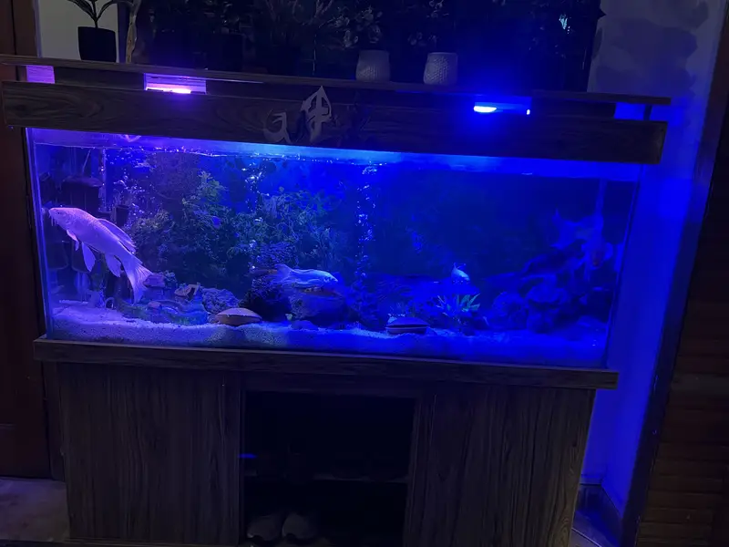 Aquarium/tank for sale — photo 2