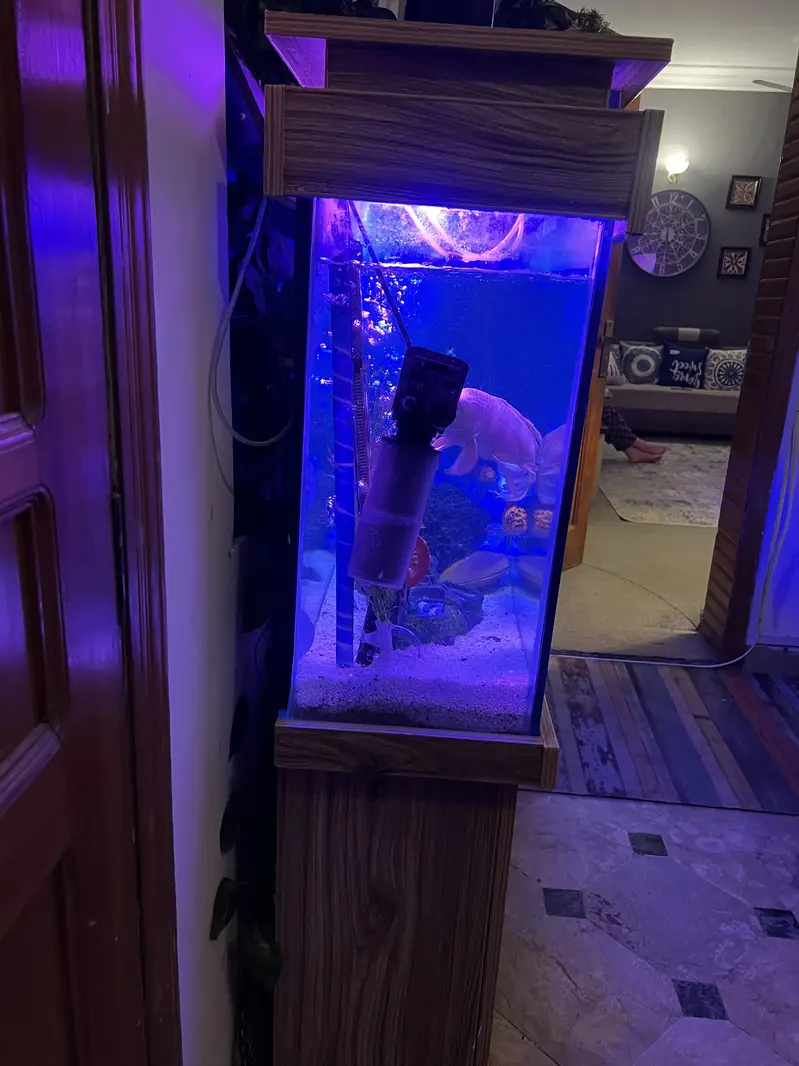 Aquarium/tank for sale — photo 3