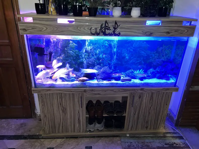 Aquarium/tank for sale — photo 5