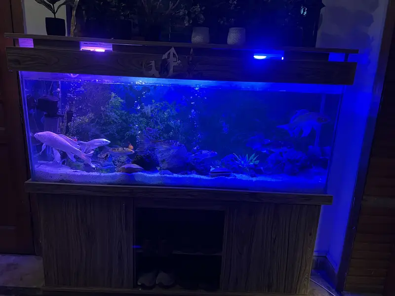 Aquarium/tank for sale — photo 6