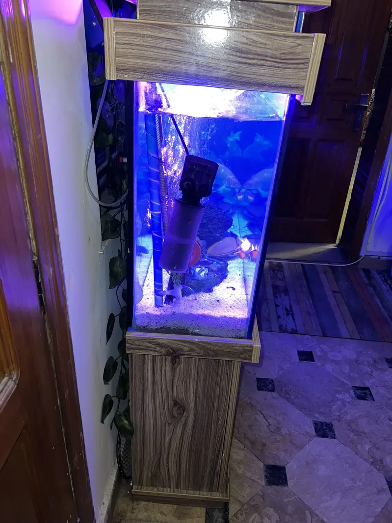 Aquarium/tank for sale — photo 8