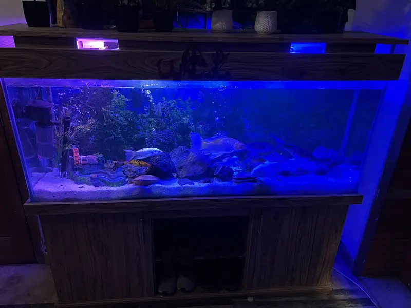 Aquarium/tank for sale — photo 10