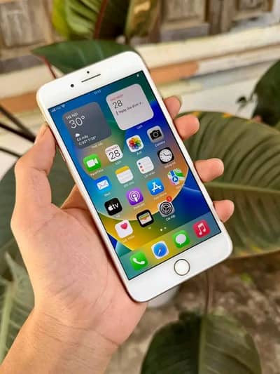 Iphone 8plus pta approved 256gb My Whatsapp number 0320-19-06_573