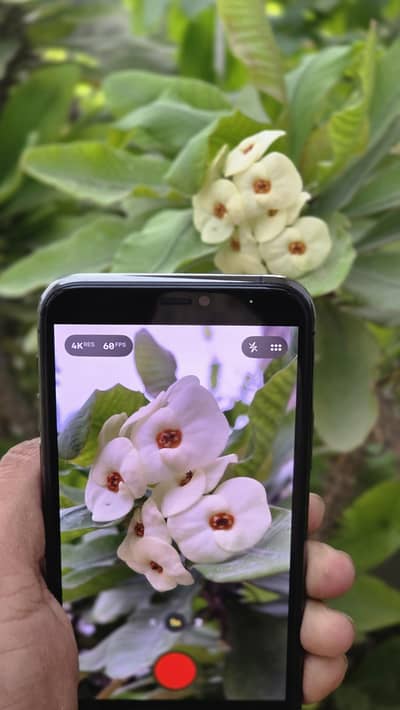 Apple iPhone 11 Pro