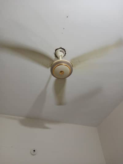ceiling fan