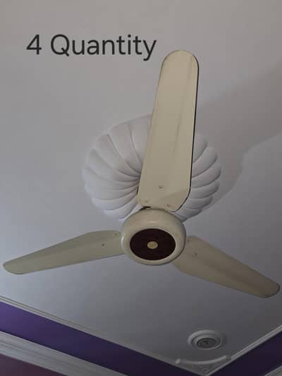 Power Fan's  2 Different Design