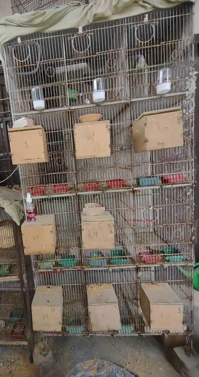 12 Portion Cage, Urgent Sale