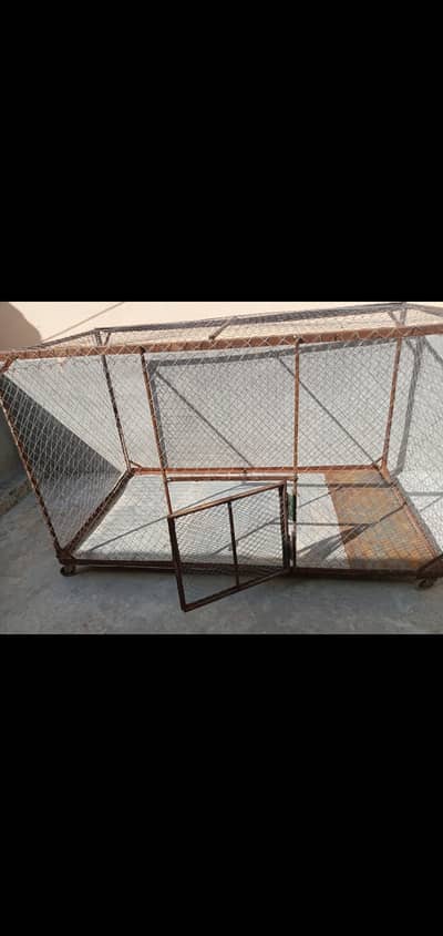 Bahut urgent sale karna aur quality bahut acchi hai
