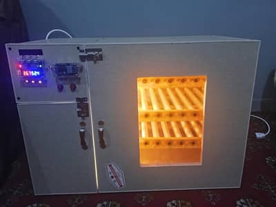 fully automatic incubator