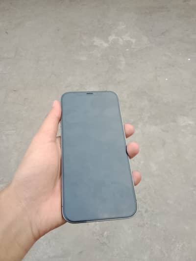 Apple iPhone 12 Pro Max