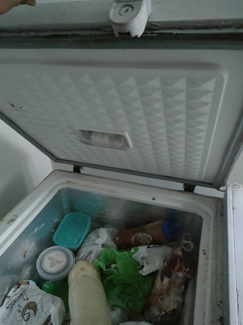 freezer 2