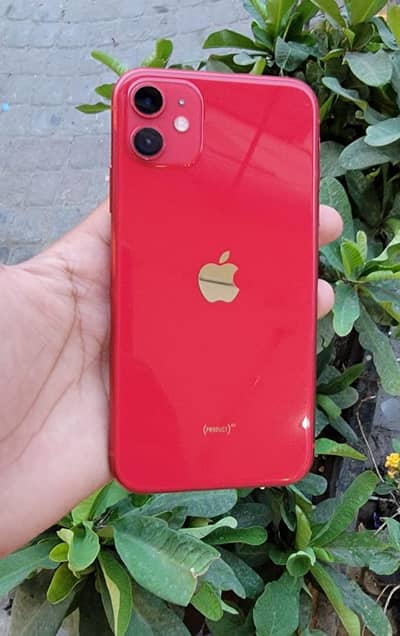 Apple iPhone 11