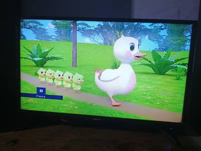 led tv 32 inch Hisense
