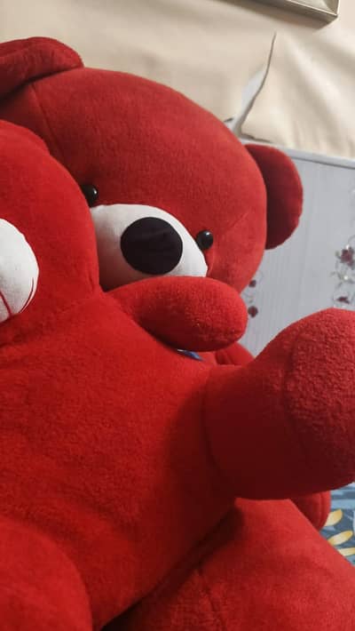 Cute red teddy bear. Buy one Get one free