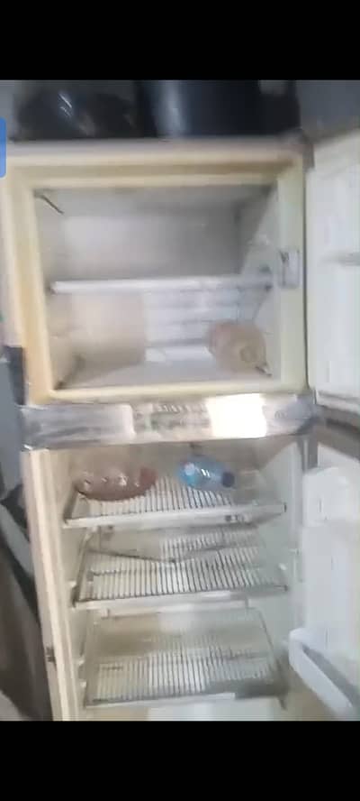 frige