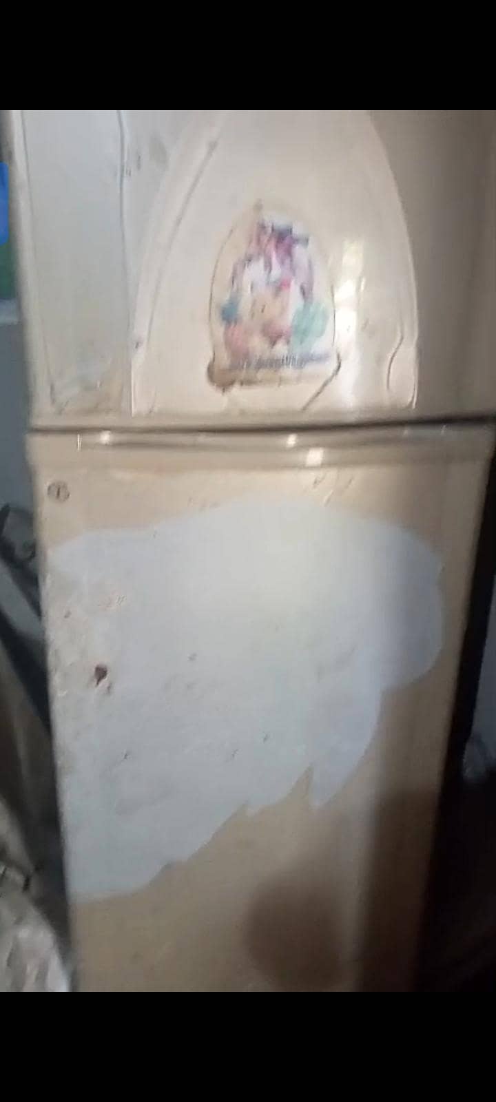 frige 1