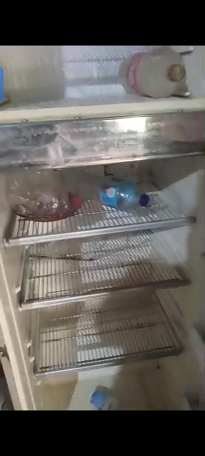 frige 2