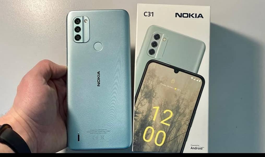 Nokia C31 1