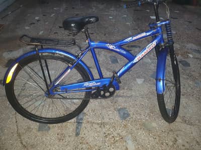 used bicycle wheelies