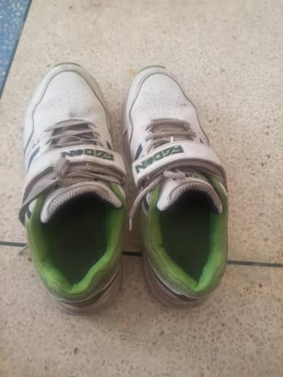 FG don shoes for sale grippers cricket football