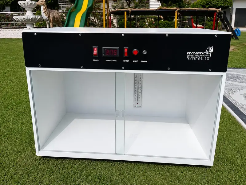 electric brooder for parrots chick