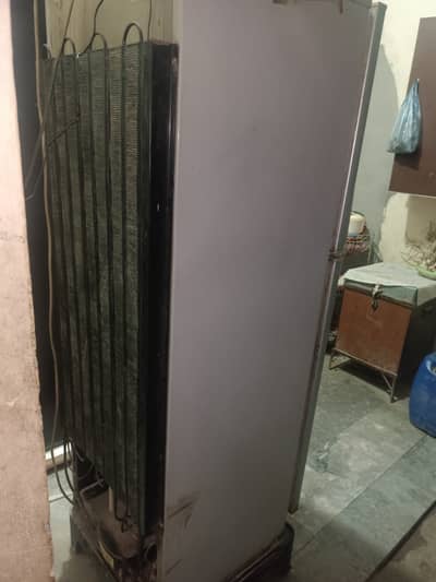 Pel Fridge for Sale. 28000