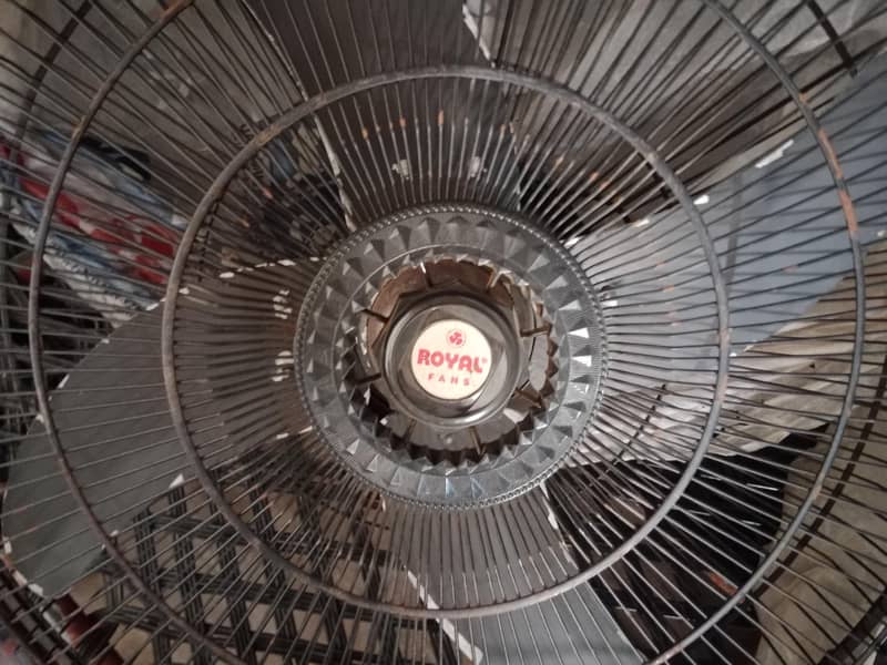 big fan 0