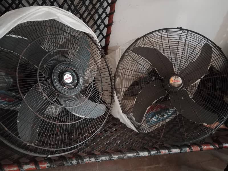 big fan 1