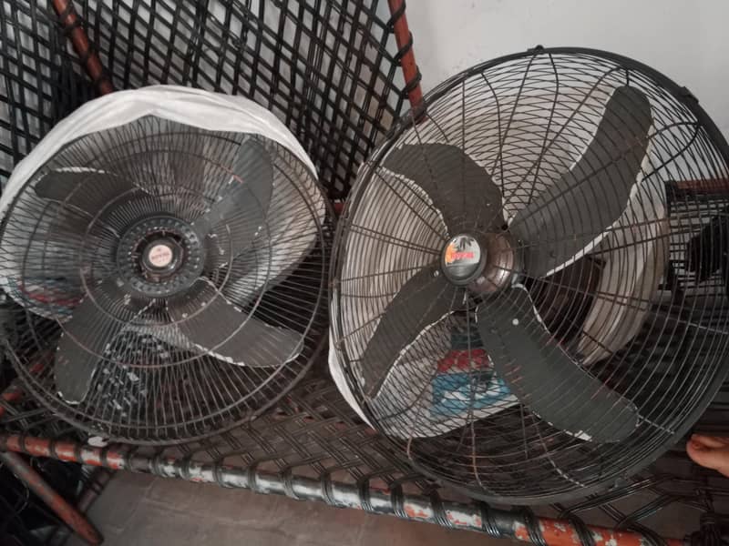 big fan 2