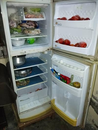 Pel Medium size Fridge