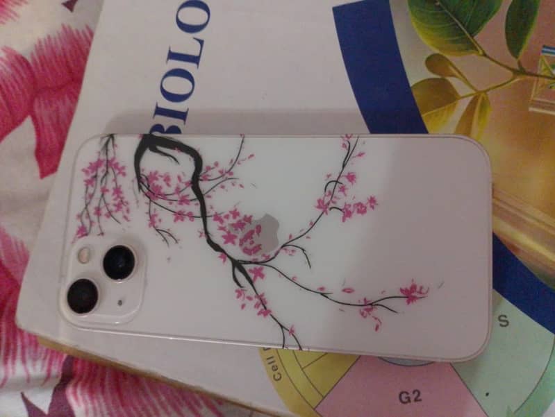 Apple iPhone 13 0