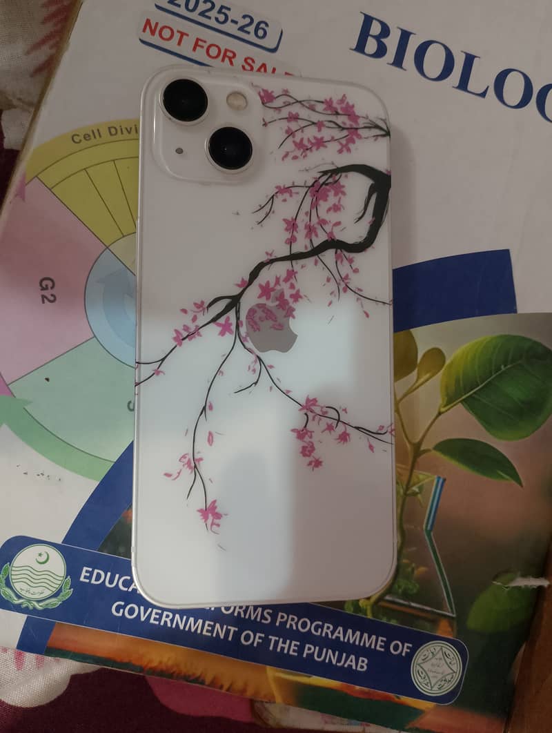 Apple iPhone 13 2