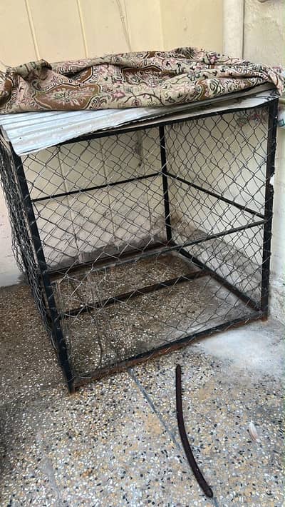 Dog cage for sale