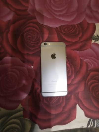iPhone 6