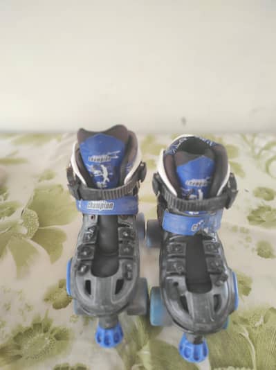 Skating shoes