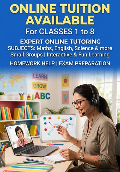 Graphics designer and online tutor
