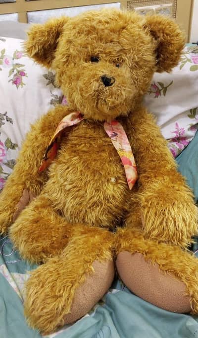 30-inch sunkid jointed Teddy bear plush