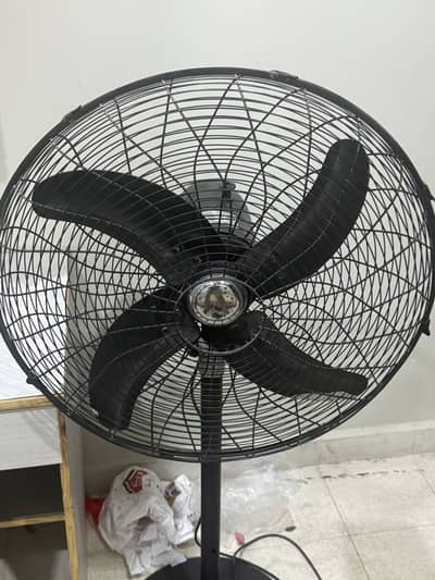 Royal Pedestal Fan 24”