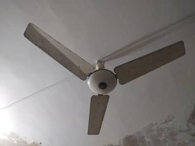 Pak Fan Ceiling Fan – Used | 100% OK | Genuine Copper Winding