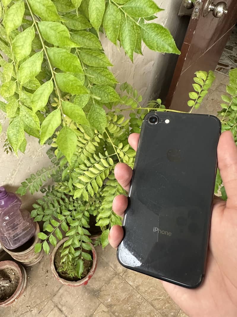 Apple iPhone 8 9