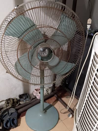 GFC fan for sale