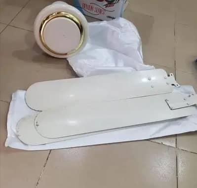 Royal Fan