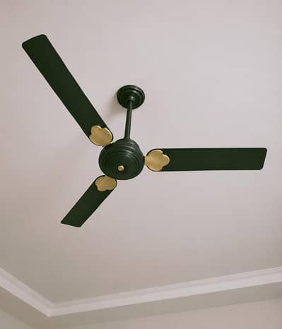 pak fan in perfect condition