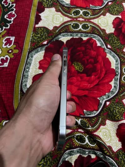 Apple iPhone 13 Pro Max jv